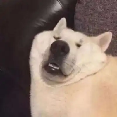 最火搞笑沙雕情侣头像有毒的情侣头像魔性
