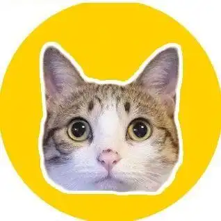 主人跪沙发狂摇逗猫棒,背后猫咪一脸问号脸我在这...
