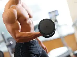 人气最高的男性健身运动
