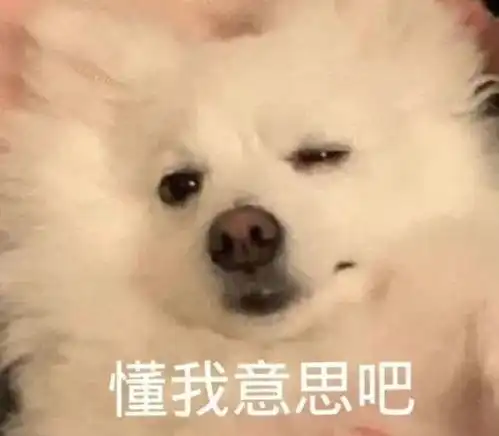 神仙友情vs真假恋情,你信了吗
