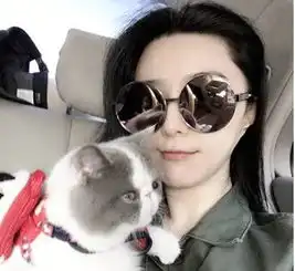 一日撸猫,终身为奴,喵星人简直有毒
