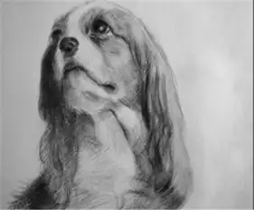 素描图片明暗素描
