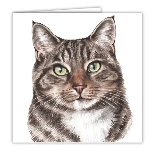 tempimagebl4dtu水彩手绘猫咪
