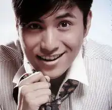 银幕忧郁王子陈坤不会找圈内人谈恋爱
