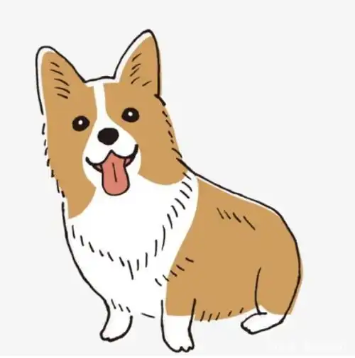 经常会陷入三角恋的生肖有哪些呢
