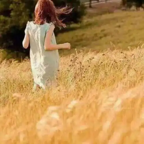 我的爸爸是个骗子
