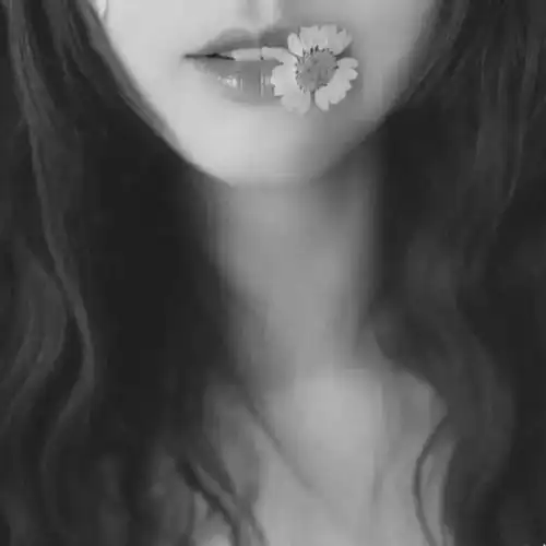 男女黑白头像

