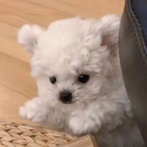 有大病的发空间文案
