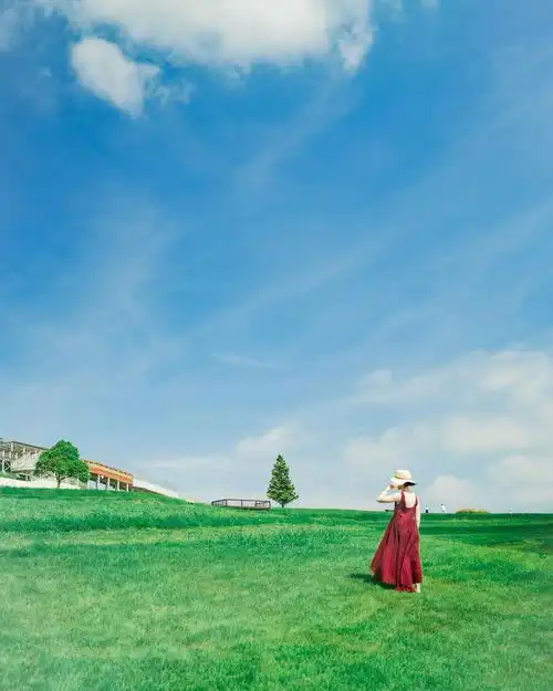 拍点不一样的,景大人小光震撼是不够的,还要耐看
