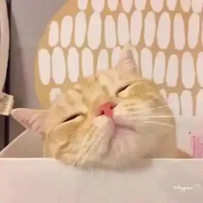 闺蜜头像
