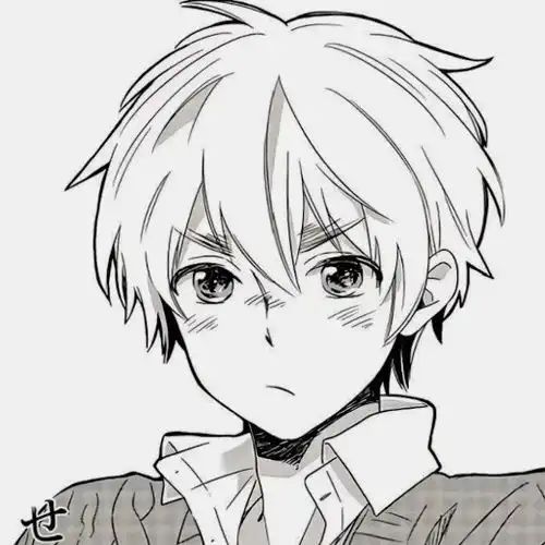 ins高质量动漫头
