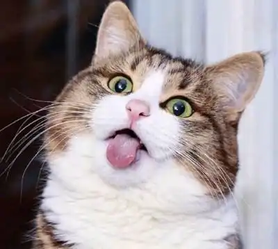 过年系列可爱鬼情侣头像与过去做一个告别,与未来做一次期待
