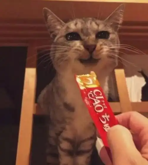 拿出零食的下一秒,秒换表情哈哈哈太可爱了
