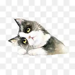 免费下载手绘猫咪图片大全千库网png
