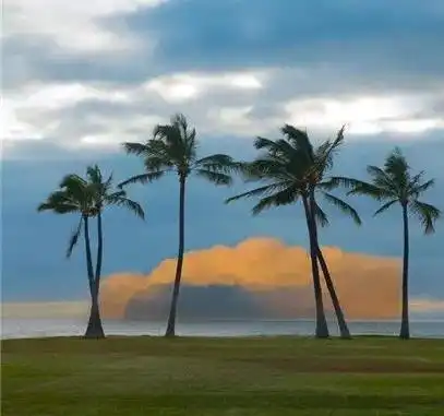 人到晚年,该不该把家里的存款告诉儿女两位阿姨的选择供你参考
