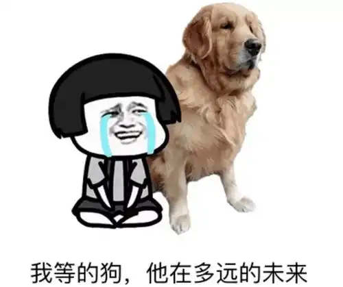 香菇蓝瘦2019年放假时间表新鲜出炉看完我就哭了
