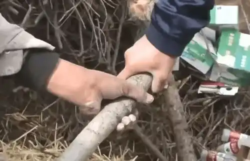 最成功变形计,王晨正为农村爷爷千里奔丧,街溜子变栋梁之才
