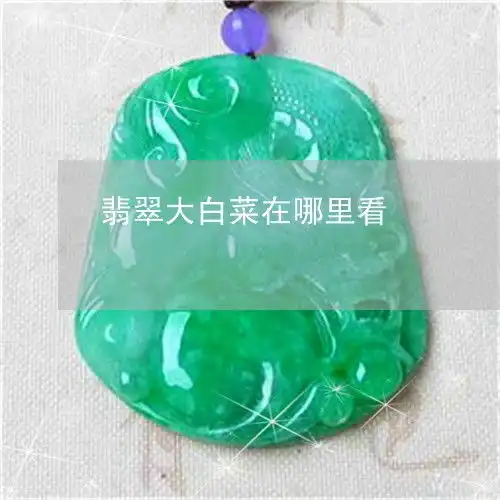 翡翠大白菜在哪里看查看翡翠白菜价格图片大全

