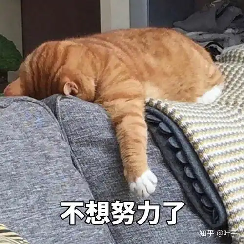 北京随记
