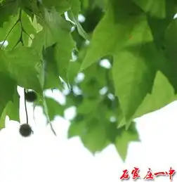石家庄一中是河北省重点中学中国百强中学
