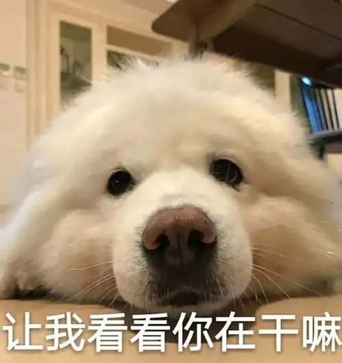 情侣撒娇撩人表情包你的江湖多远我都来
