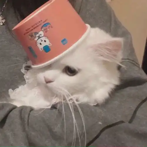 文案特别喜欢的小众无风格高级短句
