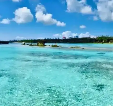 飞游世界日本鹿儿岛,清新脱俗的安静好地方
