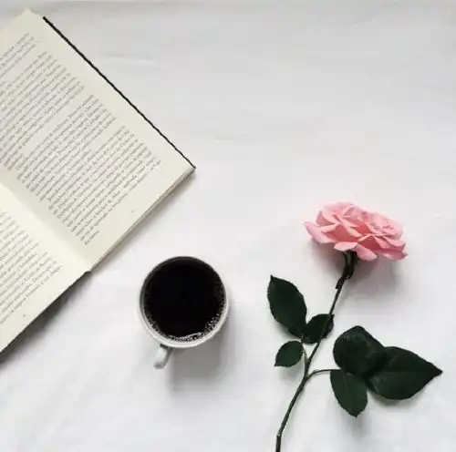 想念一个人的句子,深情走心,值得收藏
