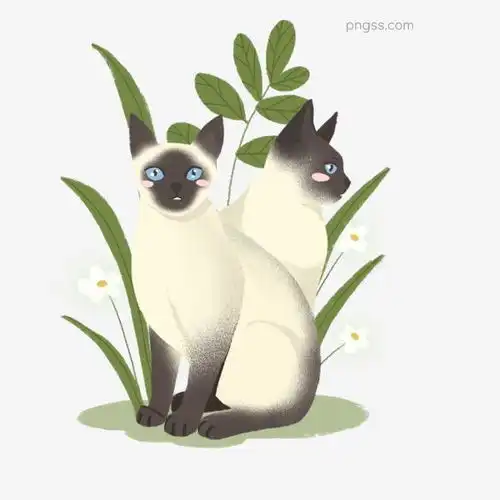 灰色创意可爱植物小猫元素图片大小2000x2000px图片尺寸1.96mb来自png搜索网pngss.com免费免扣png素材下载创意大自然动物短毛环境灰色卡通手绘可爱毛发树叶土壤弯曲小宠物
