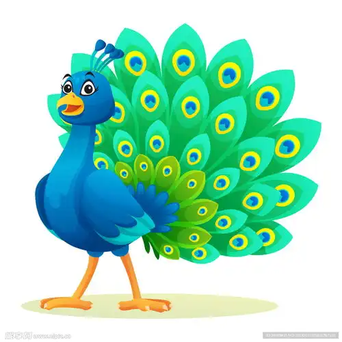 卡通孔雀设计图
