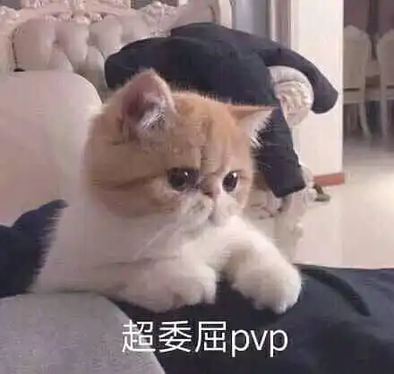 大路的相册动物表情包
