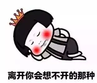 道明寺傅恒对不住了,我又爱上其他人了...
