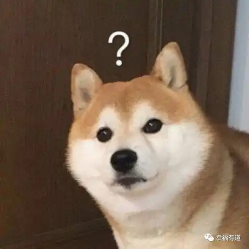 三句话就让男人为她花了18w,看完她的视频后,我却感到害怕
