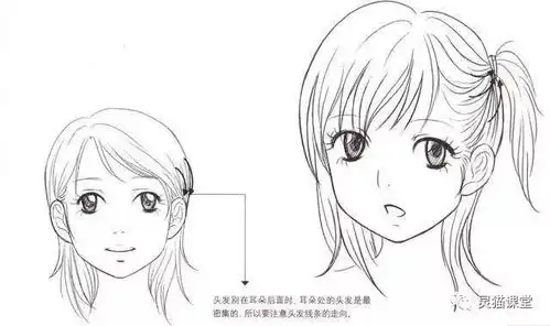 绘画漫画角色基础教程,男生女生各类发型的画法
