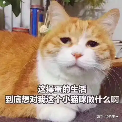 你碰见过什么真实暖心的灵异故事
