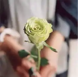 南京版告白气球,关于南京的爱情,我唱给你听...
