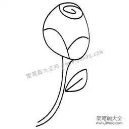 玫瑰花简笔画大全及画法步骤
