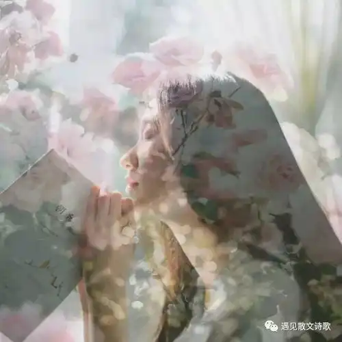 朗诵往后余生,各自安好
