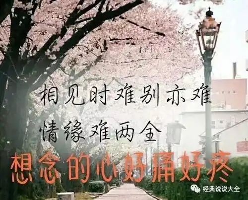 简短的女生个性签名,总有一句适合你
