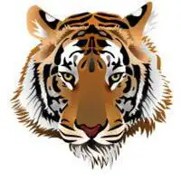 足球运动情侣头像油画微信头像图片大全
