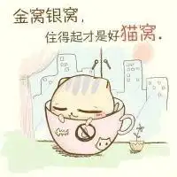 猫咪与我同眠微信头像图片大全
