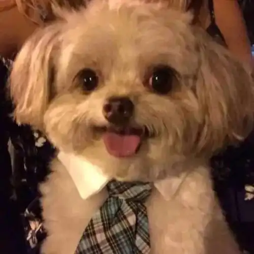 萌系头像希望我是你眼里最好的宝贝
