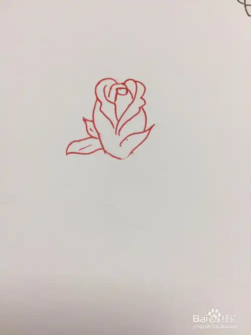 玫瑰花的简笔画画法
