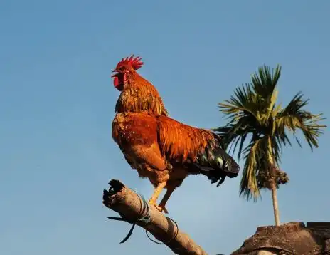 上半月破财下半月招财,4属相苦尽甘来,带着家人数大钱
