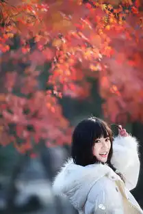 摄影大炮的实用技巧
