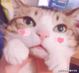 活的太傲,容易成为小人眼中钉的星座
