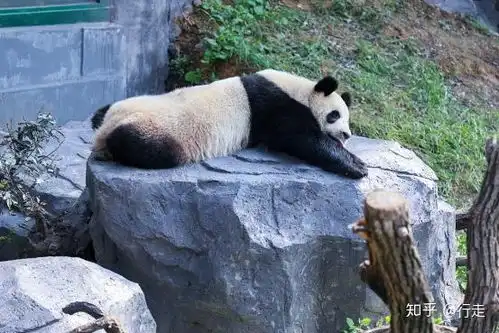 2种睡姿一出现,当心是大病来临内附4种睡姿健康排名表,快来对照看一看
