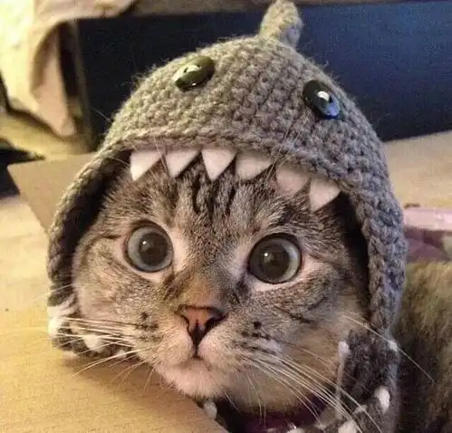 今日头像丨有福同享有肉你长
