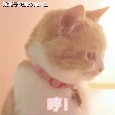 幽默笑话我一巴掌呼过去,11你还能算错你是猪吗
