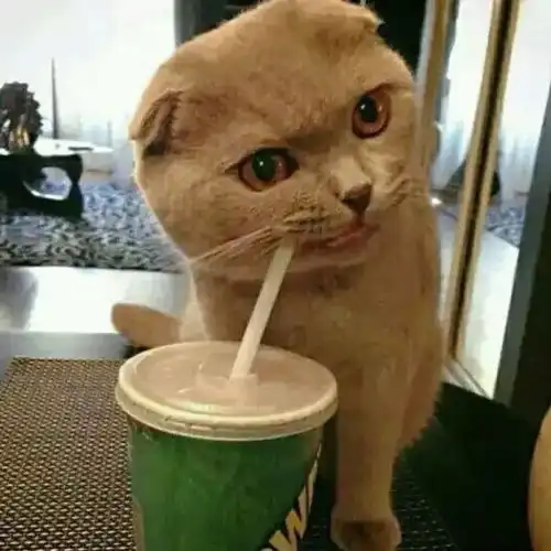 最理性的暗恋是什么样子
